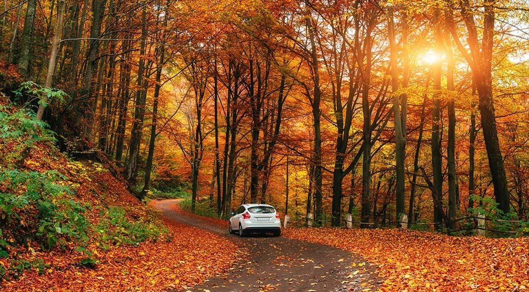 blog item card - Everything you need to know about comprehensive insurance for leasing. Find out why men pay more and why a Tesla Model Y has the most expensive comprehensive insurance.